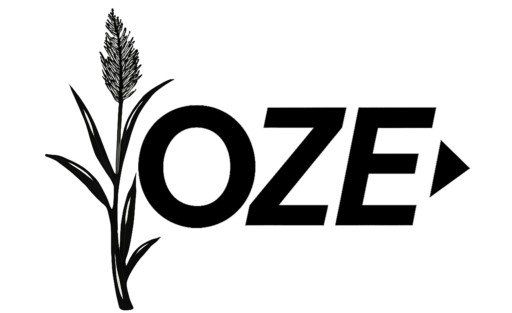 logo oze sm fundo pr ibrc psdd